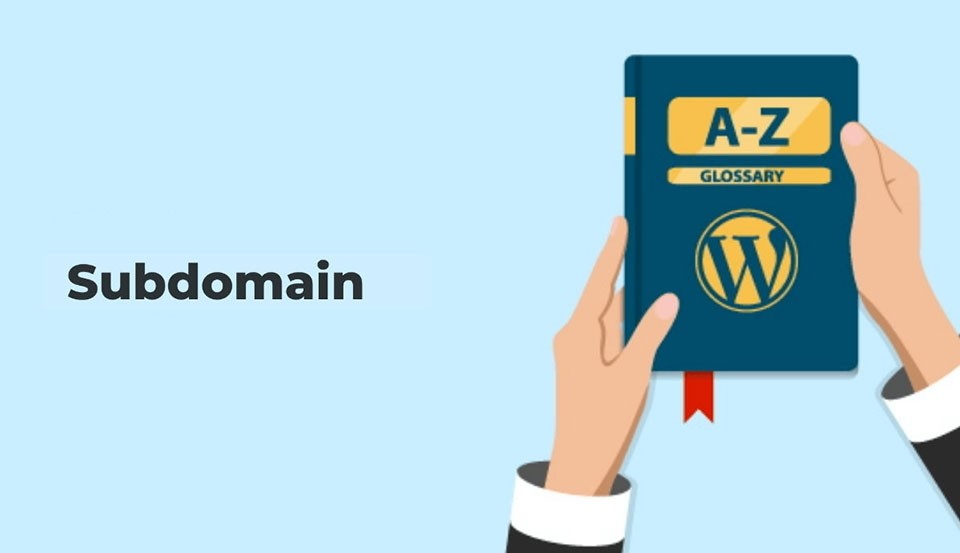 Tầm quan trọng của việc hiểu rõ Subdomain để xây dựng website