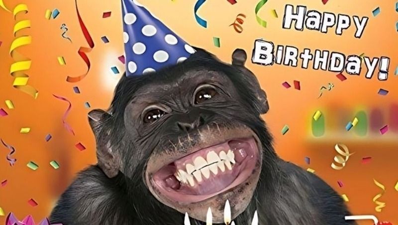 Ý nghĩa của meme chúc mừng sinh nhật trong việc kết nối và mang lại tiếng cười