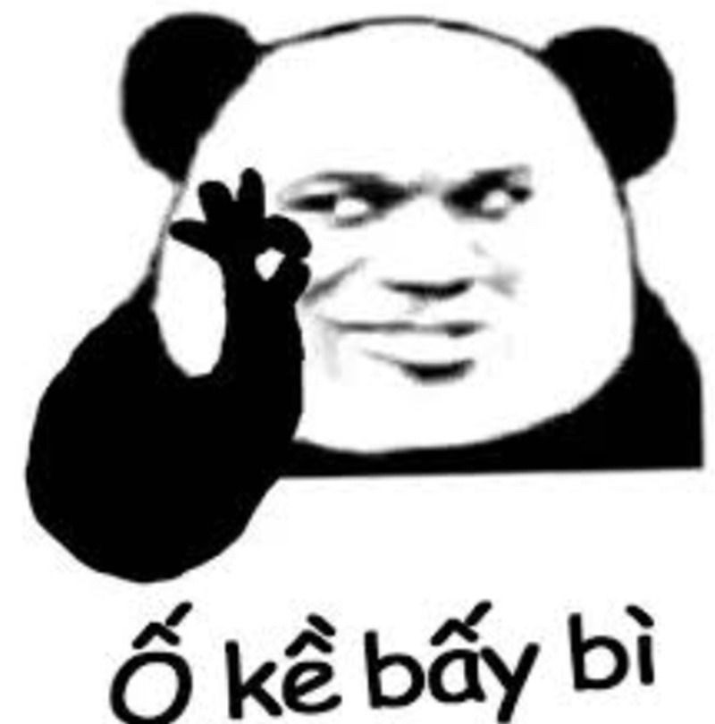 Hình ảnh gấu trúc meme với vẻ mặt quyết tâm học tập