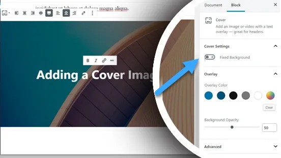 Sự khác biệt giữa Featured Image và Cover Image