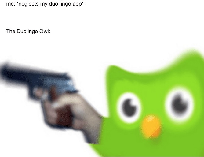Hình ảnh meme Duolingo trên Tumblr, thể hiện sự nhắc nhở học bài một cách hài hước