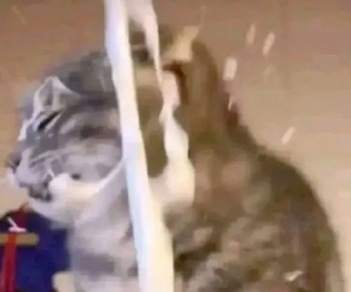 Meme Bắn Tùm Lum siêu nhây bựa phù hợp cà khịa những gì quá nóng bỏng sexy