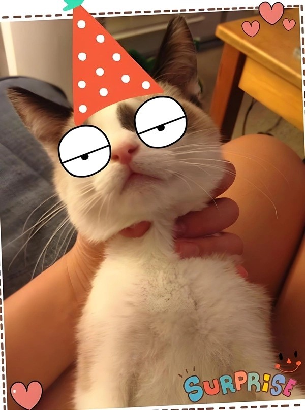 Meme bóp cổ với biểu cảm hài hước của nhân vật hoạt hình