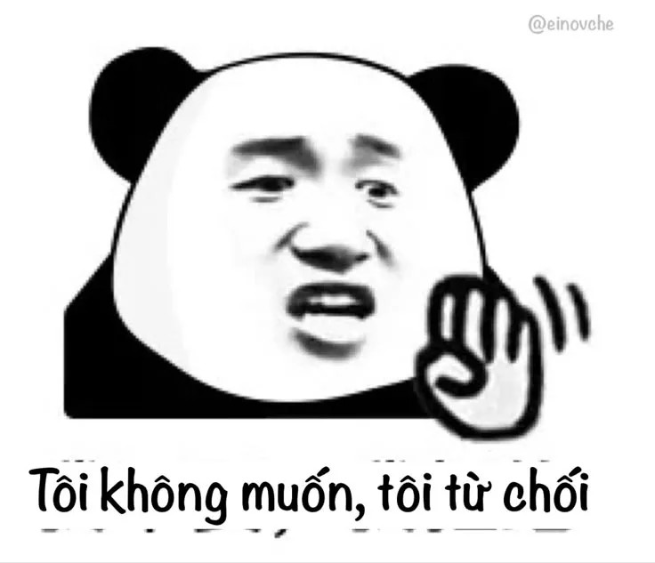 Meme gấu trúc hài hước với biểu cảm "từ chối"