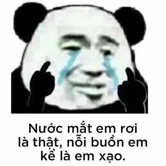 Gấu trúc thẫn thờ, đôi mắt long lanh khóc thầm lặng