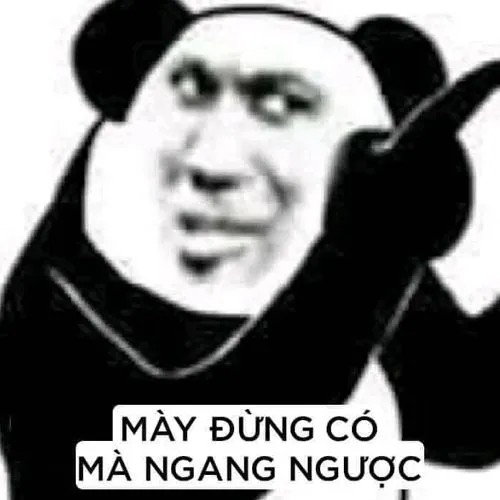 Meme gấu trúc thể hiện thái độ "mày đừng có mà ngang ngược"