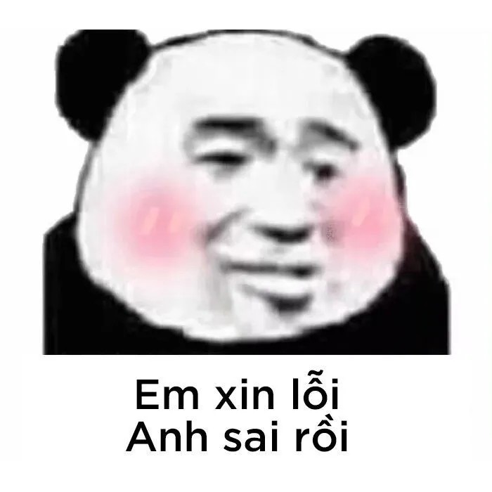Meme gấu trúc nói "Em xin lỗi, anh sai rồi"