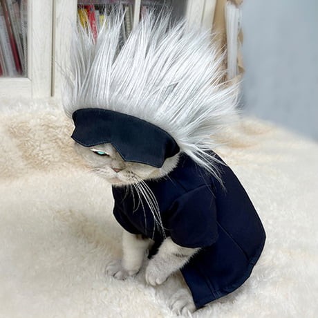 Hình ảnh chú mèo Gojo nguyên bản, khởi nguồn cho Gojo Cat Meme trên Twitter