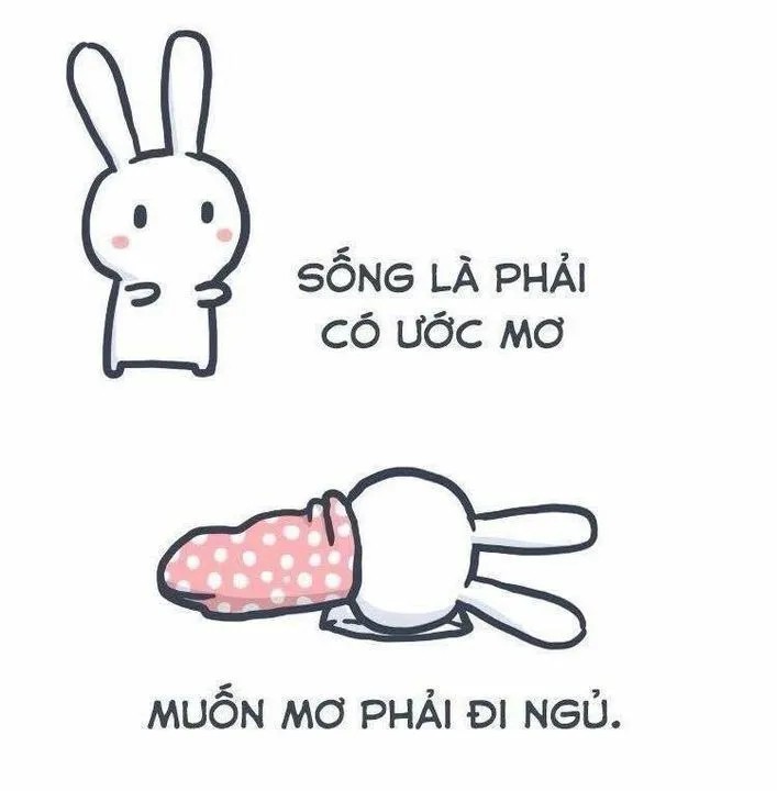 Minh họa câu nói vui 'muốn mơ thì phải đi ngủ'
