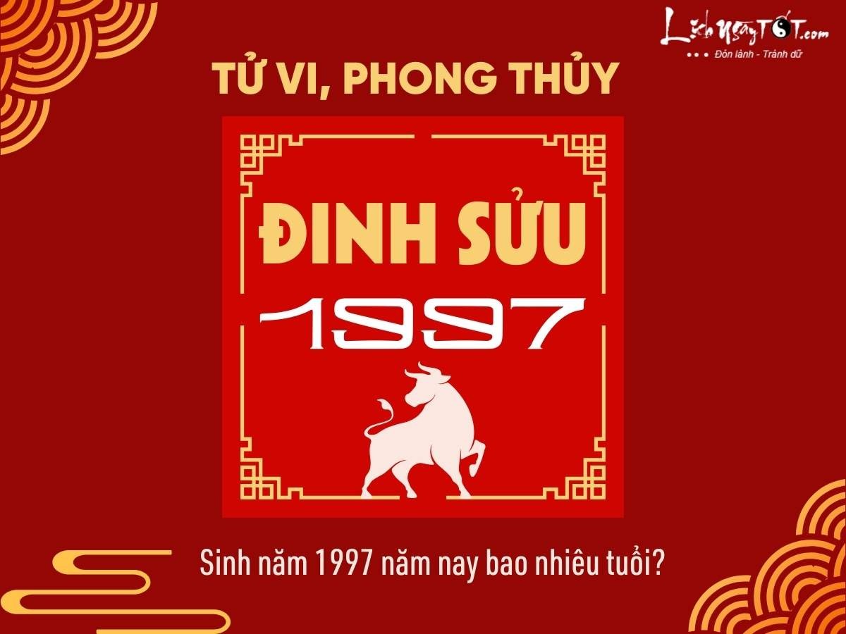 Năm 2026, người sinh năm 1997 Đinh Sửu bao nhiêu tuổi?