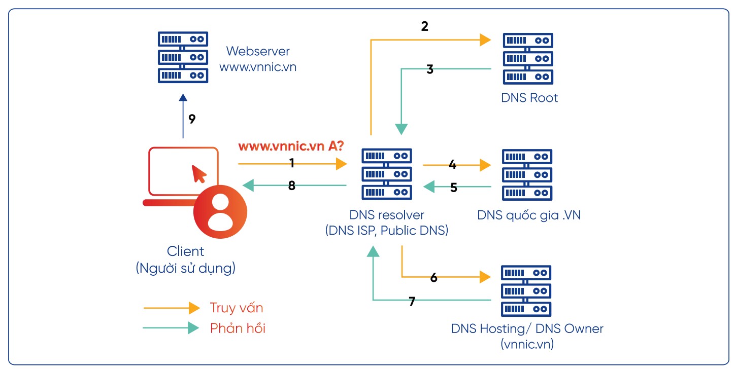 Minh họa quy trình hoạt động phân giải tên miền (DNS resolution) từ người dùng đến máy chủ web